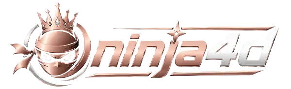 www.ninja4did.com
